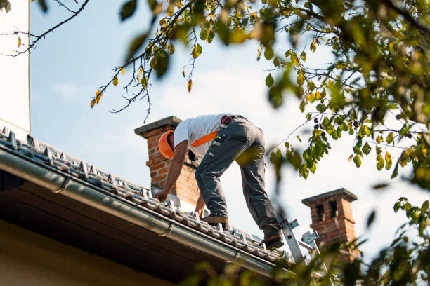 Best Roof Repair  in Poplarville, MS